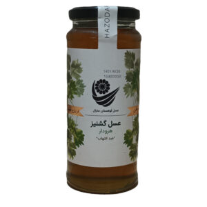 کوهستان سارال عسل گشنیز