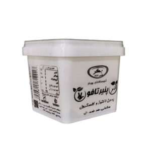 پنیر سویا ساده 450 گرم بکر